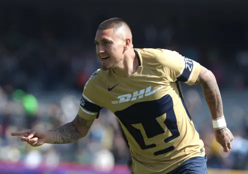 Pumas 2017