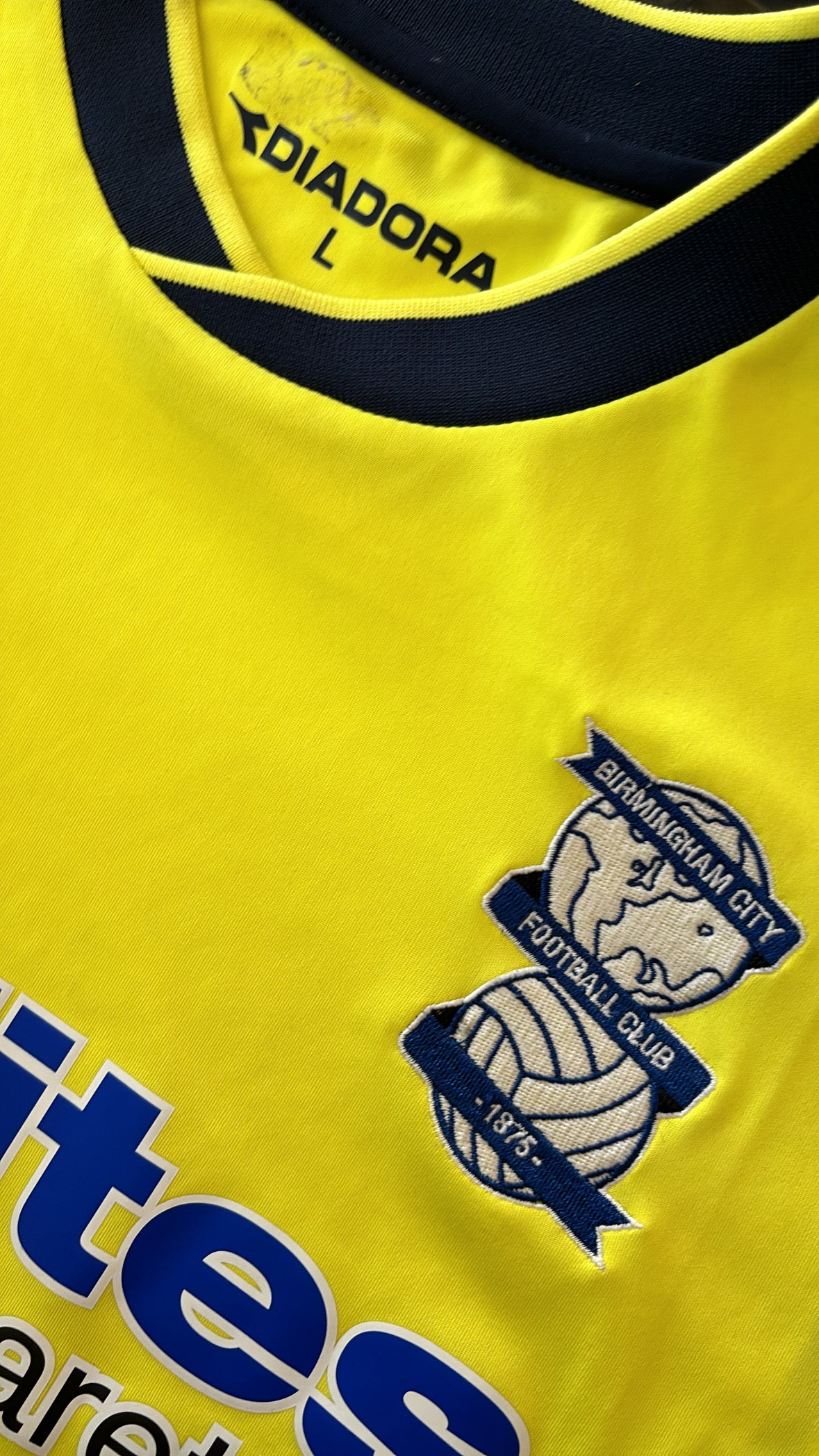 Birmingham FC 2013