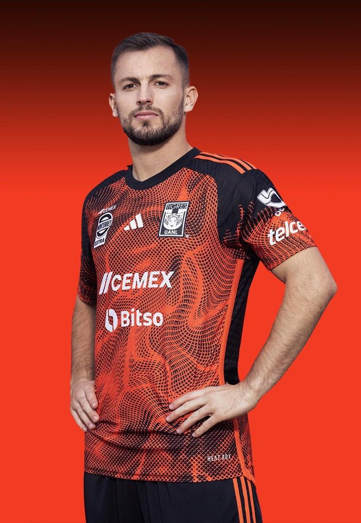 Tigres 2024