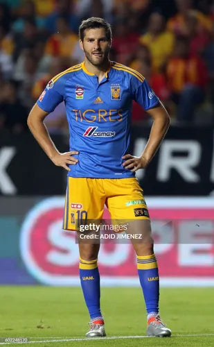 Tigres 2017