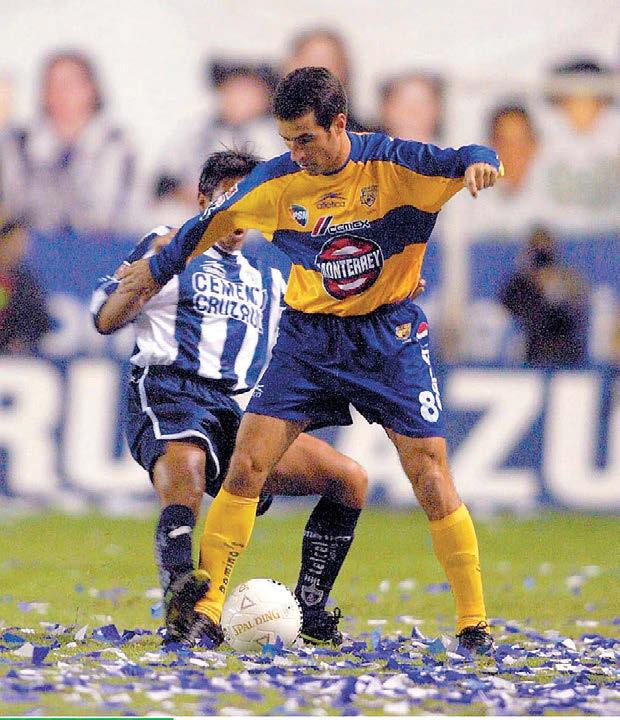Tigres 2001