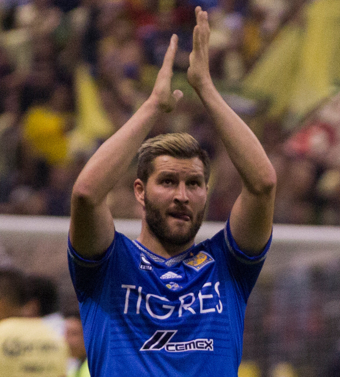 André-Pierre Gignac Tigres 2015