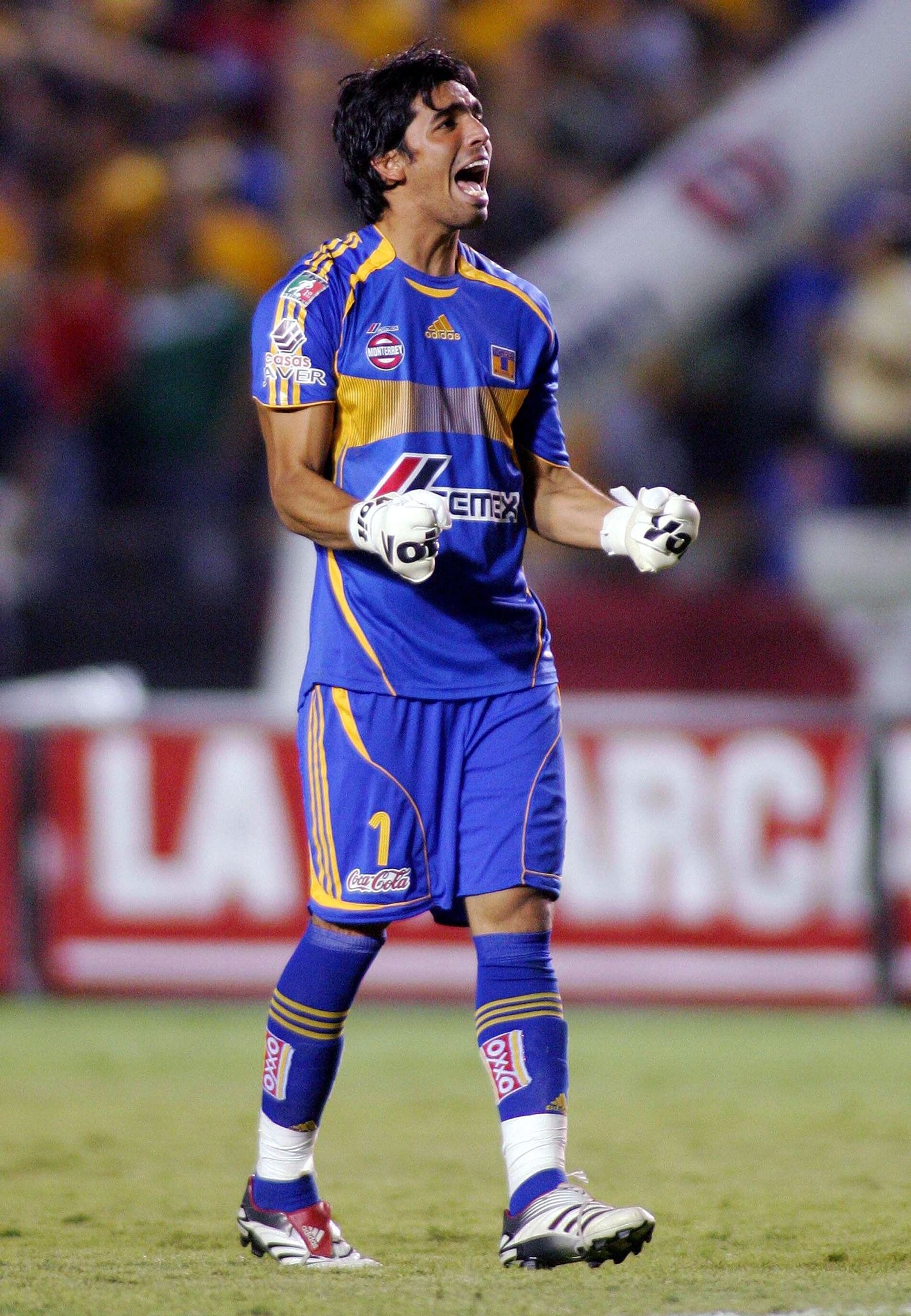Edgar Hernandez Tigres 2006