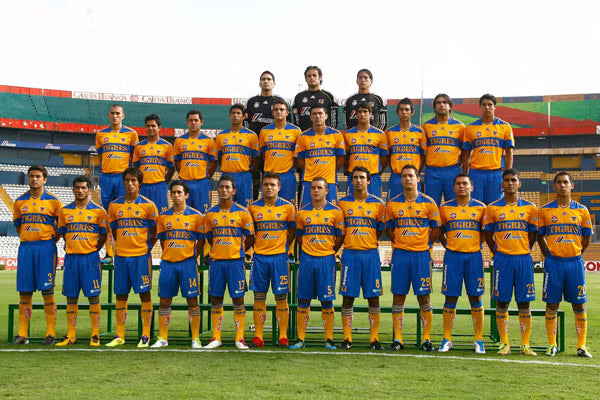 Tigres 2011