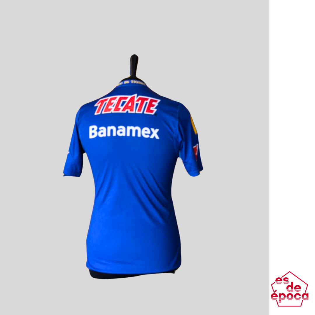 Tigres 2013 Visitante