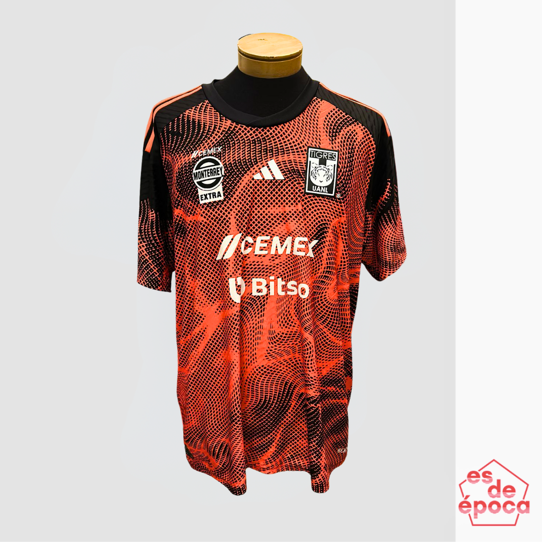 Tigres 2024