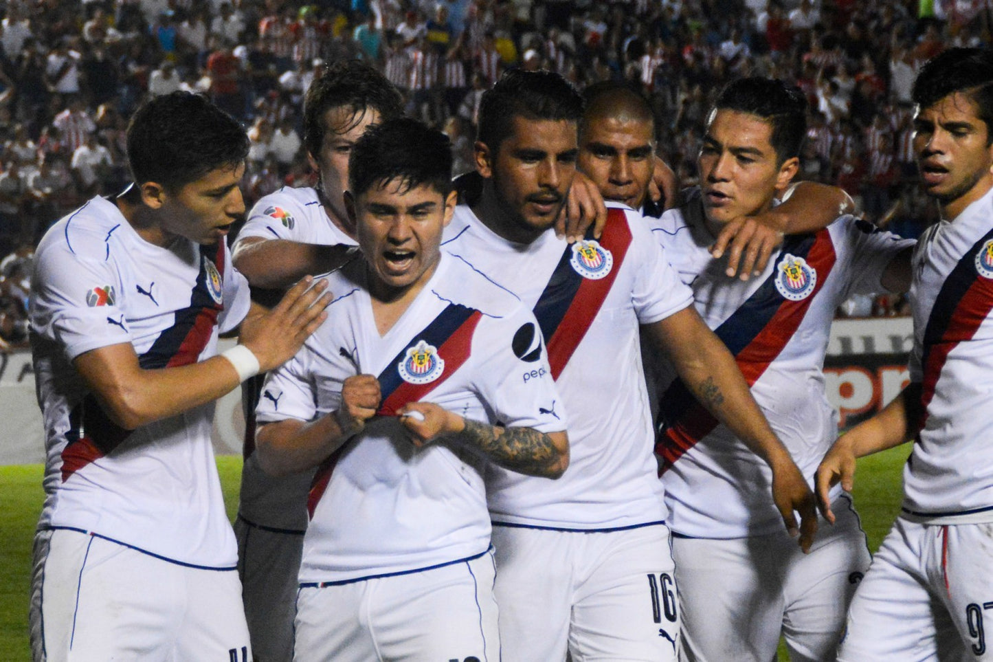 Chivas 2016