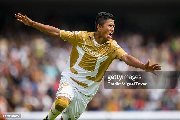 Pumas 2013