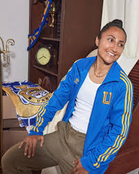 Chamarra Tigres 2022