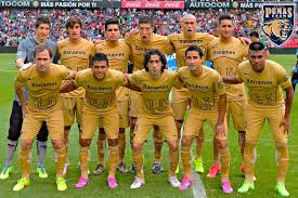 Pumas 2014