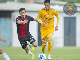 Aldo Mota Tigres 2019 Utileria