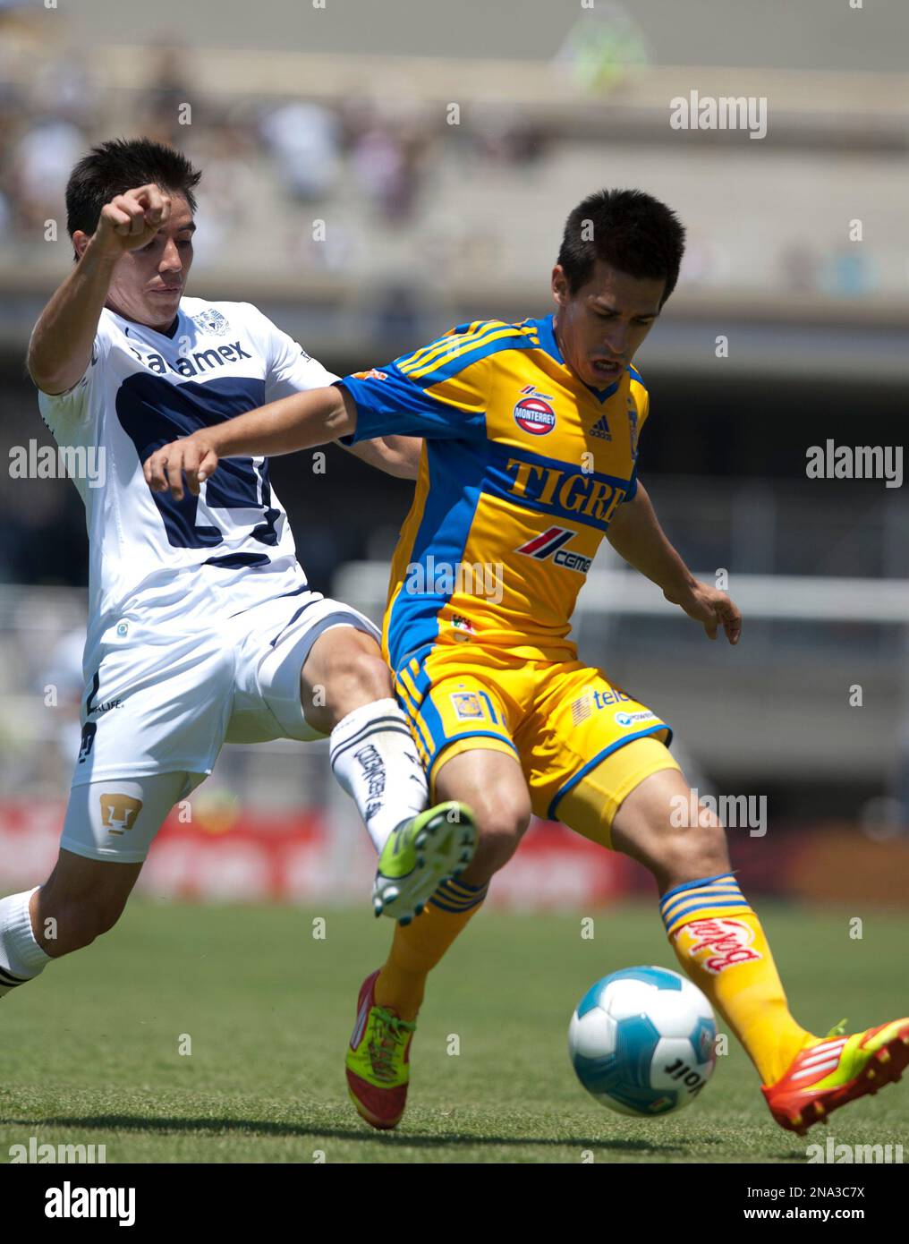 Fernando Navarro Tigres 2012 Utileria