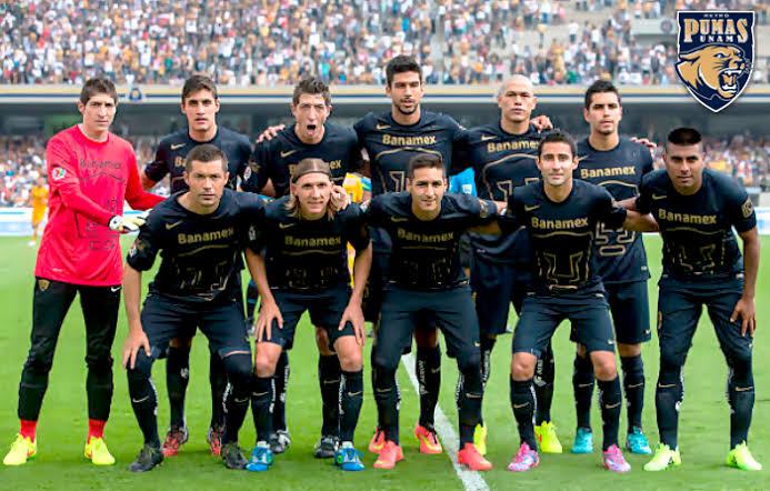 Pumas 2014