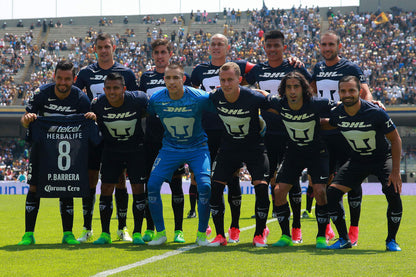 Pumas 2017