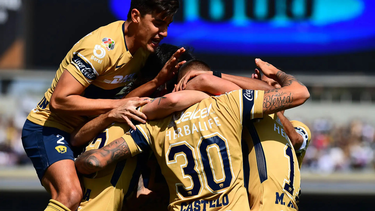 Pumas 2017