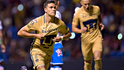 Pumas 2016