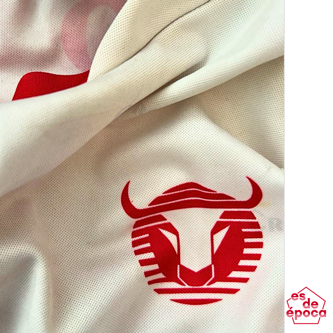 Toros Neza 2001