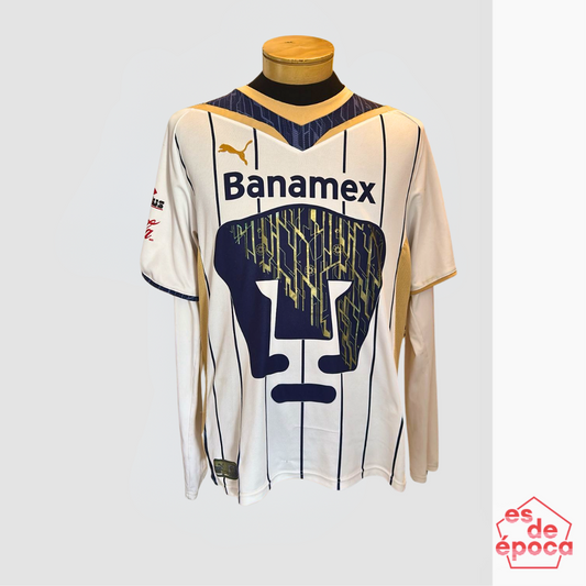 Pumas 2010