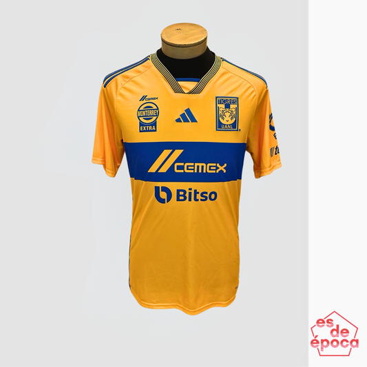 Tigres 2023