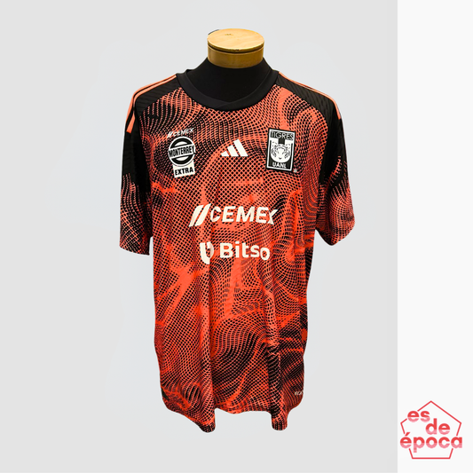 Tigres 2024