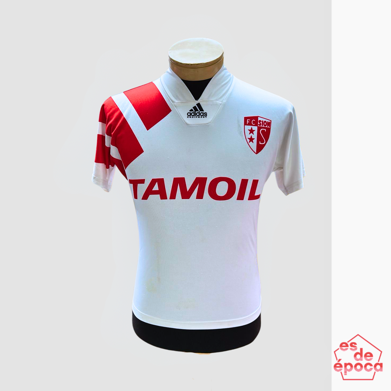 Sion FC 1993