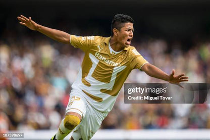Pumas 2013