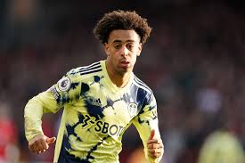 Tyler Adams Leeds United 2022