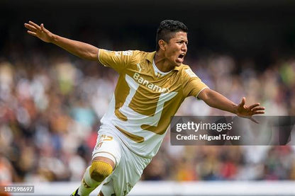 Pumas 2013