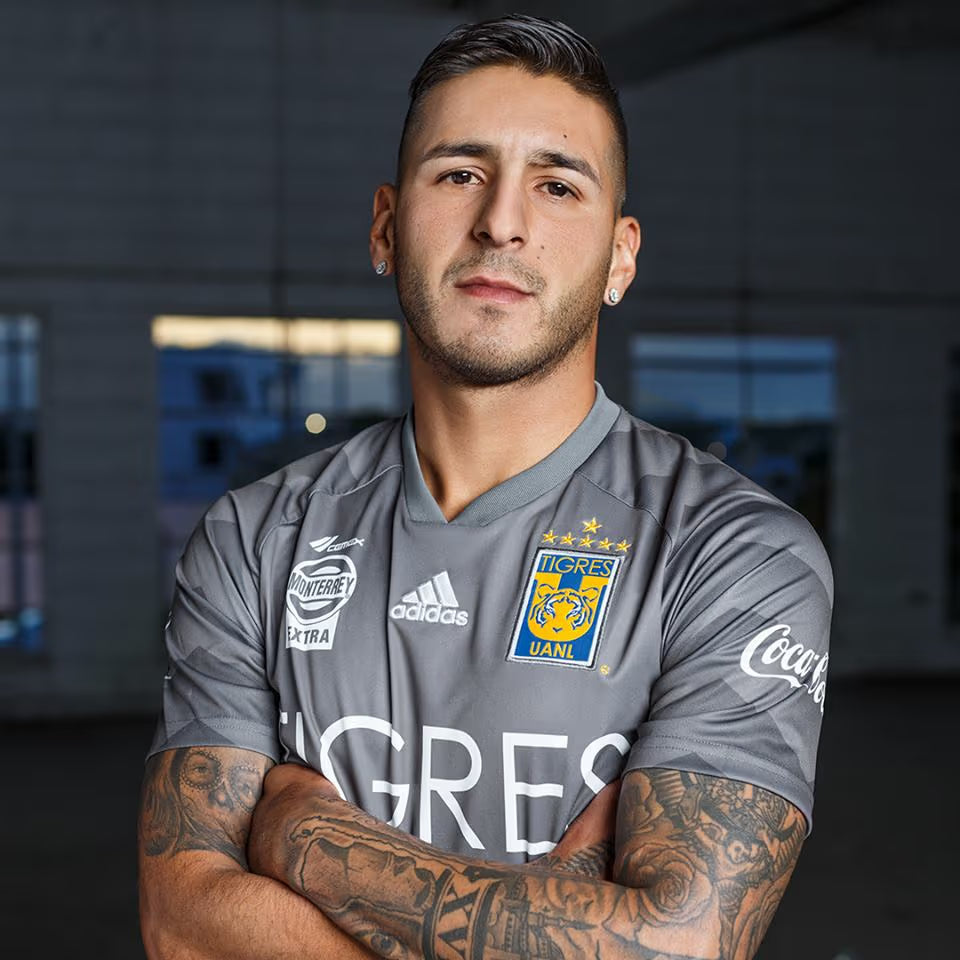 Tigres 2017