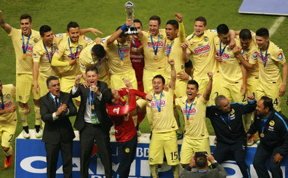 América 2014